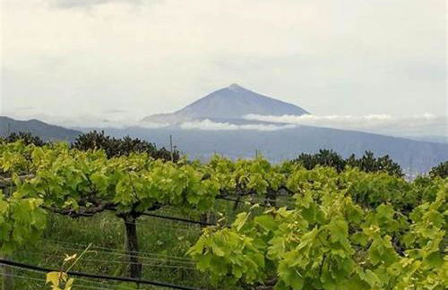 Finca rural House Tenerife Relax And Enjoy - Foto 24