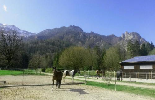 Ferienhaus Gestüt Pfaffenlehen - Foto 33