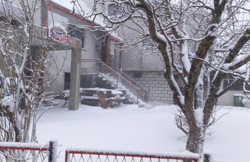 Apartman Purga - Foto 22