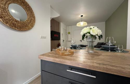 IMMEUBLE ST-PIERRE - GARE 10min - HORTILLONNAGES 5min - WIFI - TV HD - Foto 12