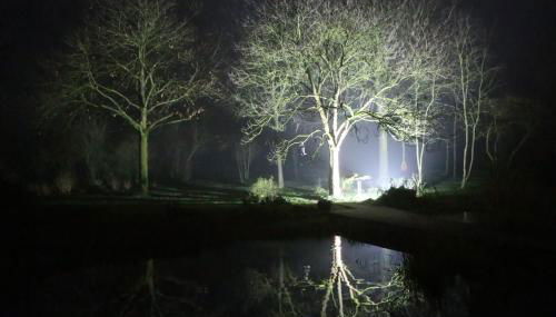 Weeze - Foto 3, Garden view