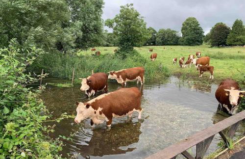 Lane End Cottage, Ovington - Foto 22