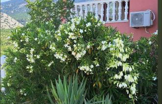 Villa Lilly 3 - Foto 16