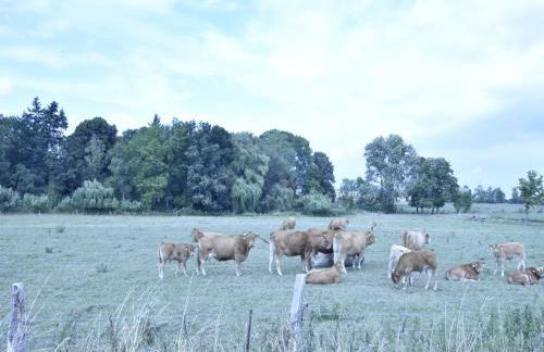 Spacious Apartment in Boddin With Garden - Photo 60