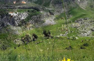 Casa Fraile aisa - Photo 34