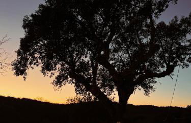 Quinta da Utopia - Foto 66