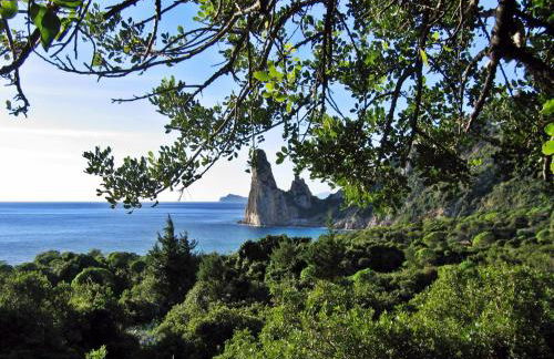 Appartamenti Le Mimose - Foto 33