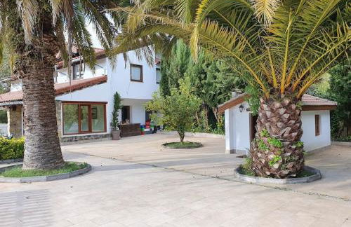 Dreams and friends on the coast of Bilbao. - Foto 32