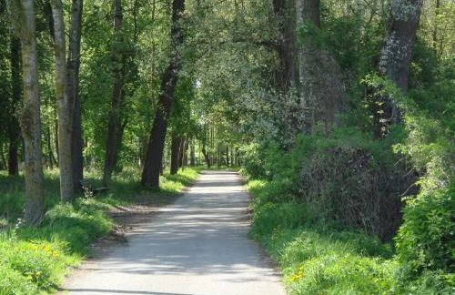 Landhaus Vogelweide - 2 Zimmer mit Balkon - Foto 21