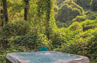 Tiny Cabin Village Private Hot Tub Lynda Cabin - Foto 24