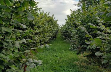 Apartament Pod Leszczyną - Foto 21