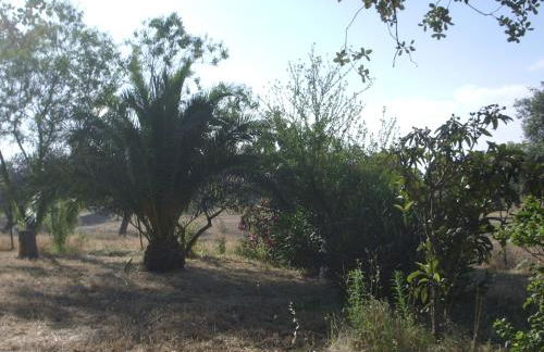Casa Rural El Tejar - Foto 43