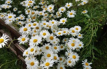 Old Bake House Cottage @ Cwm Mill - Photo 26