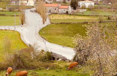 Palheiro Mezio - Foto 18