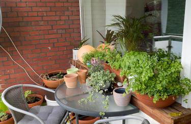 Die Welt zu Gast bei Freunden - Foto 16