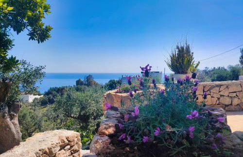 Le Pajare di Marina Serra di Casa Camilla Journey - Foto 66