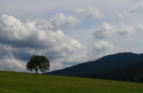 Haus Sonnenhang - Foto 34