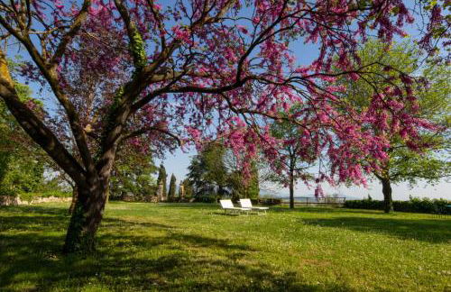 Il Castello - Foto 48