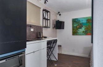 Aspidistra Shadow - Foto 12