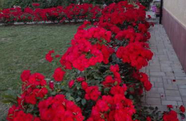 Casa Vacanze Angelica - Foto 37