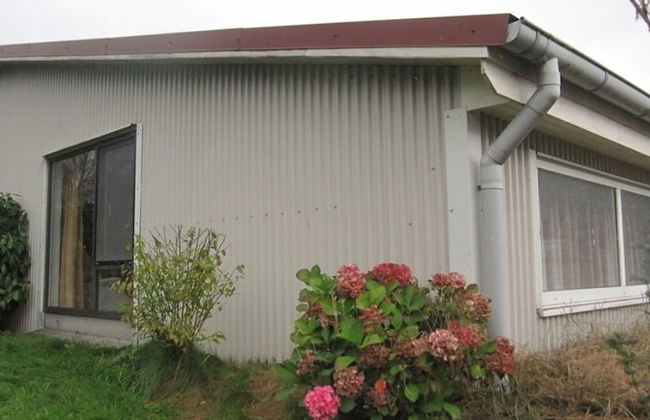 Deichschätzchen - Foto 25