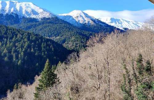 ELATALIA Plastira Lake - Photo 14