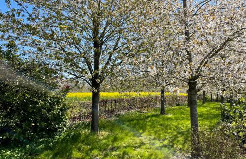 Apartment Rose by Interhome - Foto 16