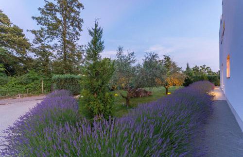 Villa Kate Istria - Photo 5