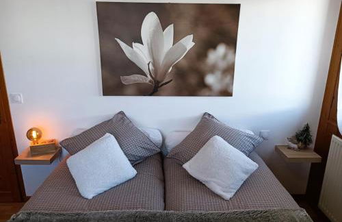 Résidence La Planchette - L'Alpin - 4 pièces dans un chalet individuel MAE-7861 - Foto 11