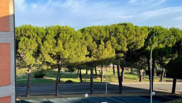 Tulip’house - Foto 2