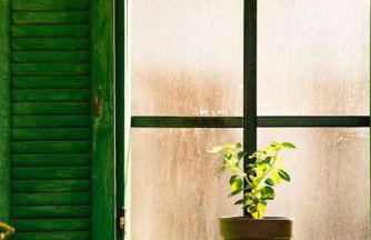 Nas Mar & Twins - Aristea - Foto 44