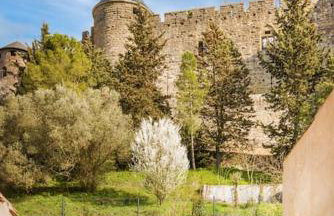 Longue Vie à la Reine - Piscine - Château - Foto 17