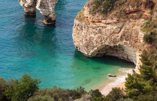 HelloAPULIA - Dimora Lamioni with private pool - Pet Friendly - Foto 5