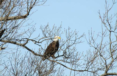 Riverfront Arkansas Retreat Near Fishing and Hiking! - Foto 24