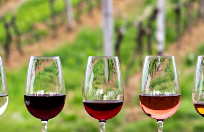 Escursione privata a Temecula - Foto 1