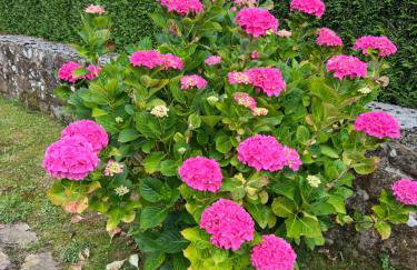 Casa en Treceño 5 Dormitorios y 2 Plantas - Photo 48
