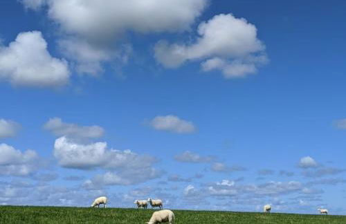 Ferienwohnung Boven - Foto 24