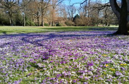 Ferienwohnung Mia - Foto 36