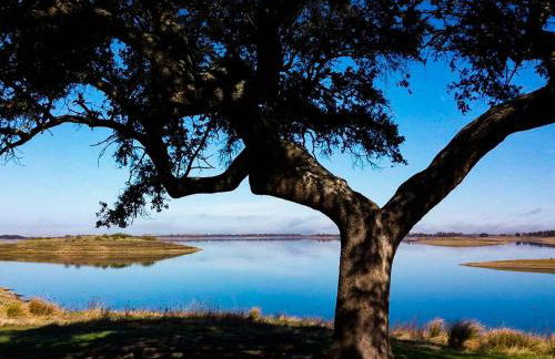 A nossa Estrela - Foto 21