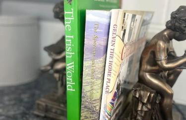 Mountainview Cottage - Foto 16