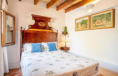 S Olivar Major - Foto 4