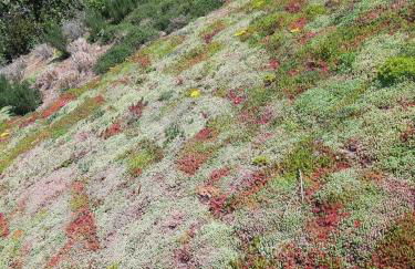 Villa Pavone - Foto 32