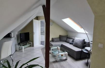 Ferienwohnung Blumenberg DG Karlstraße - Foto 9