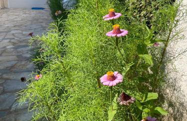 Villa Orangerie - Where Luxury Meets Serenity - Foto 63