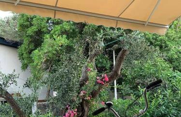 Whole house Ariela, 20m to the beach, has a barbecue, 2 terraces - Foto 10