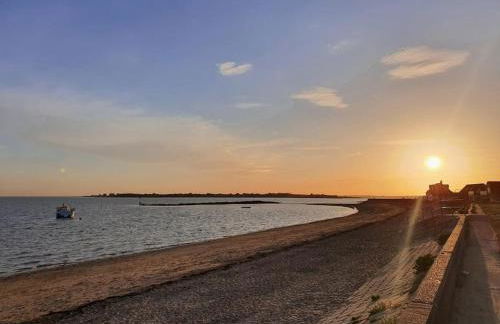 The Tiny Sea Gem - Foto 35