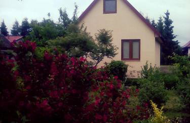 Zbaraz - Foto 28