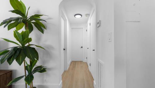 The Blue Parrot - Foto 5, wardrobe