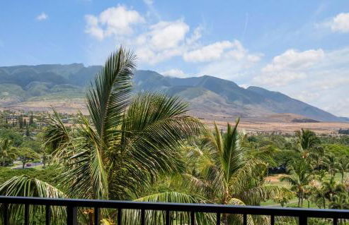 Kaanapali Alii 1 Bedroom Garden-Mountain View - Foto 23