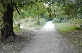 Vittadinisette - Foto 13